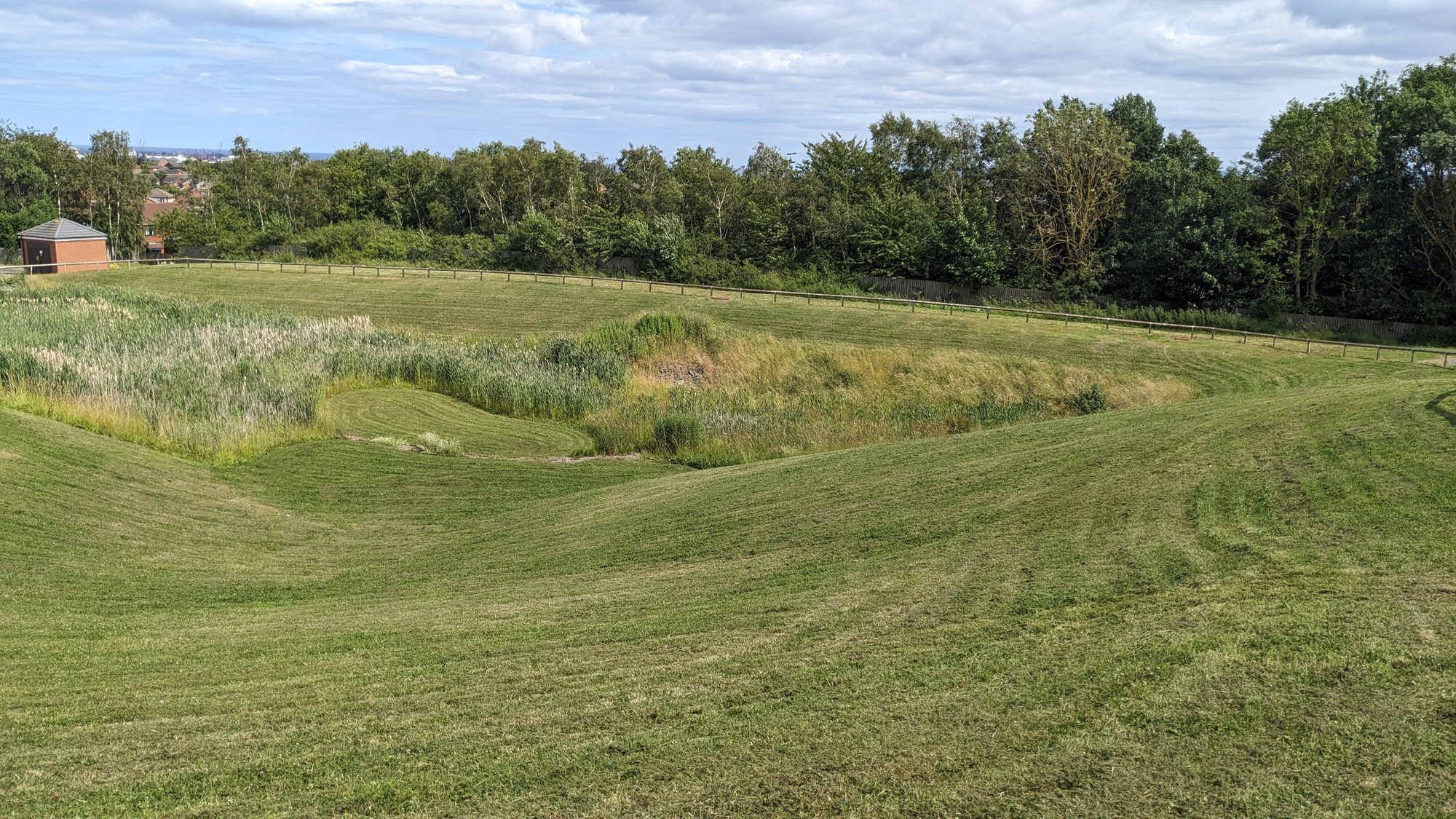 Freshly cut grass around a natural planted basin