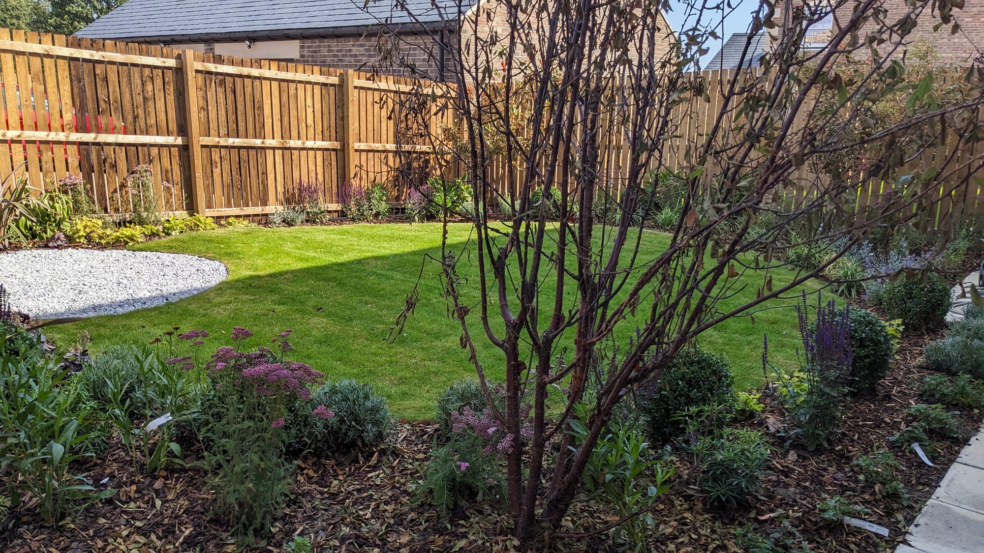 Established garden planting, lawn and timber fencing